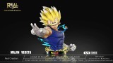 【Pre order】REAL Studio 1:1 Majin Vegeta bust With LED