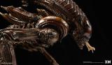 【In Stock】XM Studio - Alien Hive Warrior (Copyright)