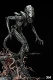 【In Stock】XM Studio - Alien Hive Warrior (Copyright)