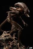 【In Stock】XM Studio - Alien Hive Warrior (Copyright)