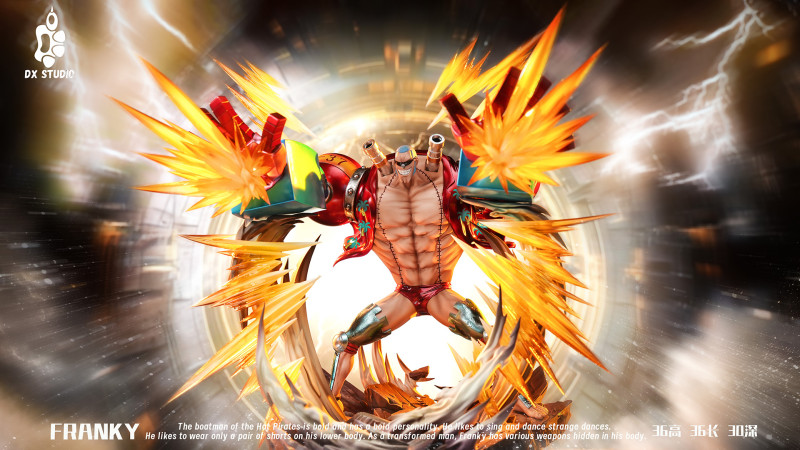 【Pre order】DX Studio - One Piece Franky