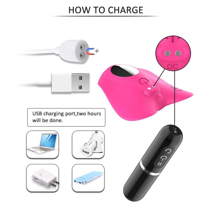 2 in 1 Wireless Panties Vibrator for woman Clitoris Stimulator with Remote Control Lipstick Dildo Vibrator Sex toys for Adult