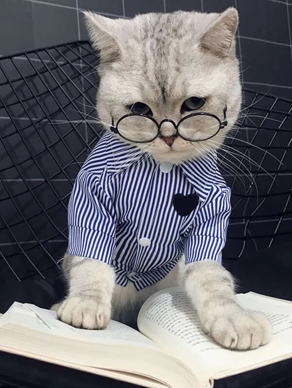 cat round glasses