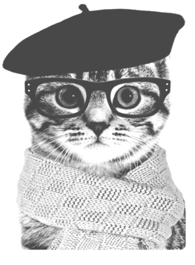 Designer French Cat Glasses Beret Hat Scarf Hipster Shirt