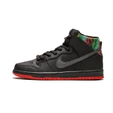 Nike SB Dunk High Premium Gasparilla