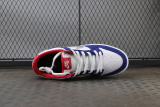 Nike Dunk SB Low Ishod Wair BMW