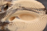 adidas Yeezy Foam RNNR MX Cream Clay (One Size Smaller!!)