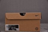 Nike Dunk Low Disrupt 2 Pale Ivory Black (Women Size!!)