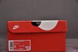 Nike Dunk Low Punk Tech Back To The Future (Custom Sneaker)
