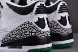 Air Jordan 3 Retro Oregon Duck