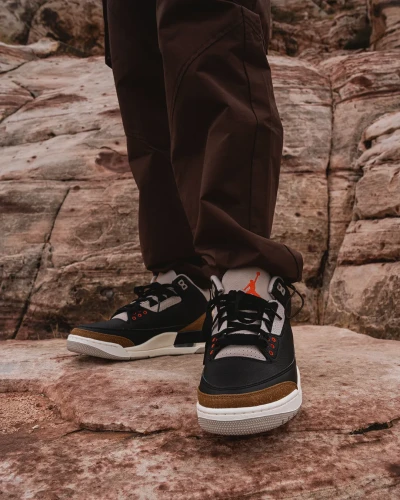 Jordan 3 Retro Palomino