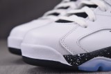 Air Jordan 6 Reverse Oreo