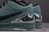 Nike Kobe 4 Protro Bicoastal