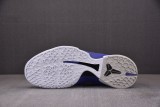 Nike Kobe 6 Concord