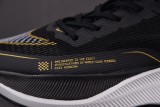 Nike ZoomX Vaporfly Next% 2 Black Metallic Gold Coin