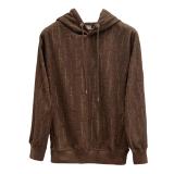 Dior 3D typography classic logo hoodie brown 8.7