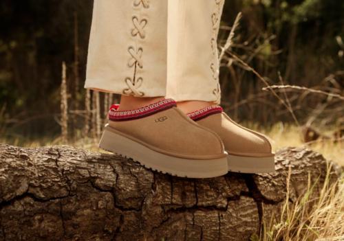 UGG Tazz Slipper Chestnut (Women's)