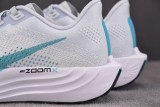 Nike ZoomX Pegasus Plus Dusty Cactus