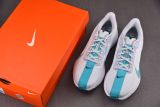 Nike ZoomX Pegasus Plus Dusty Cactus