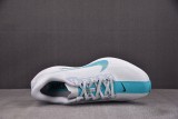 Nike ZoomX Pegasus Plus Dusty Cactus