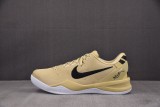 Nike Kobe 8 Protro TB Champagne Gold