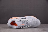 Nike Air Zoom Pegasus Premium Airscape