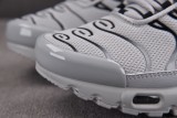Nike Air Max Plus Gray