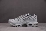 Nike Air Max Plus Gray