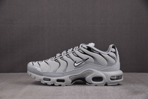 Nike Air Max Plus Gray
