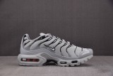 Nike Air Max Plus Gray