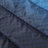 Gucci 25 Fall/Winter Gradient All-Over Print Zip-Up Cotton Down Jacket