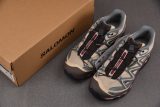 Salomon XT-Quest GTX Brown Gray