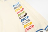 Dior Rainbow Lettering Knit Round Neck Sweater 251217