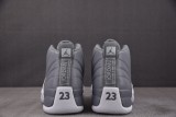 Air Jordan 12 Retro Stealt