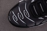 Nike Air Max Plus Black Silver White