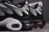 Nike Air Max Plus Black Silver White