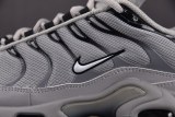 Nike Air Max Plus Wolf Grey