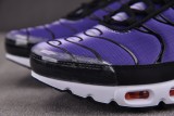 Nike Air Max Plus OG Voltage Purple