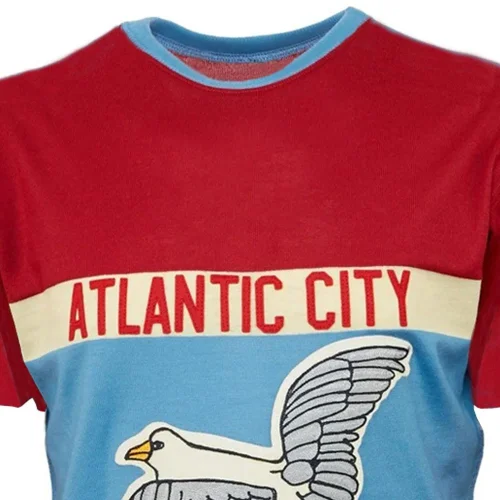 Seagulls Hockey T-shirt（#516)