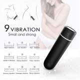 Hidden Mini Bullet Vibrator