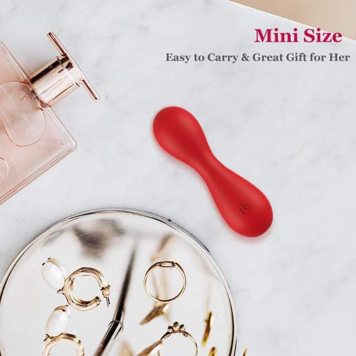 HERA Mini Vibrator