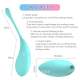 Remote Control Clitoral Vibrator