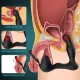 9 Vibration 3 Wiggle Motion Dual Motors Prostate Massager