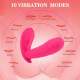 10 Vibration Modes X9 Remote G Spot Butterfly Vibrating Panties