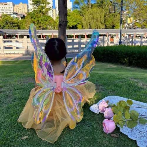 🔥Buy 2 pieces and get $5 off🔥🧚‍♀FAIRY ELECTRIC WINGS WITH MUSICAL LIGHTS🦋