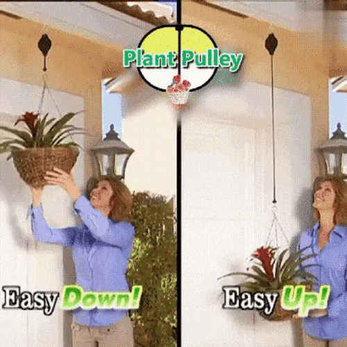 Plant Pulley Set