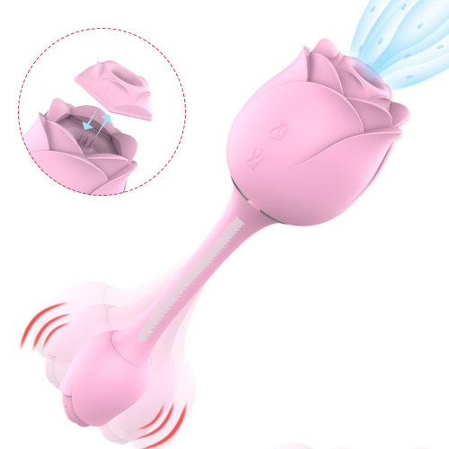 Rose sucking vibrator with vibrating bullet
