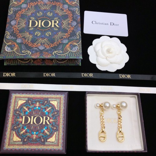 Dior Earrings