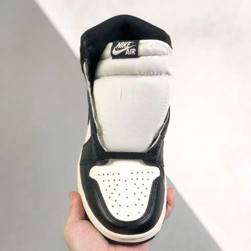 Nike Air Jordan 1 High Top Sneakers Shoes Gr. 36-46