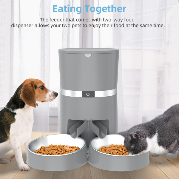 PDPETS Cats Food Feeder Dog Microchip Auto Smart Automatic Pet Feeder